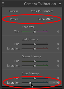 002-Leica-M8-profile-Sat-blue